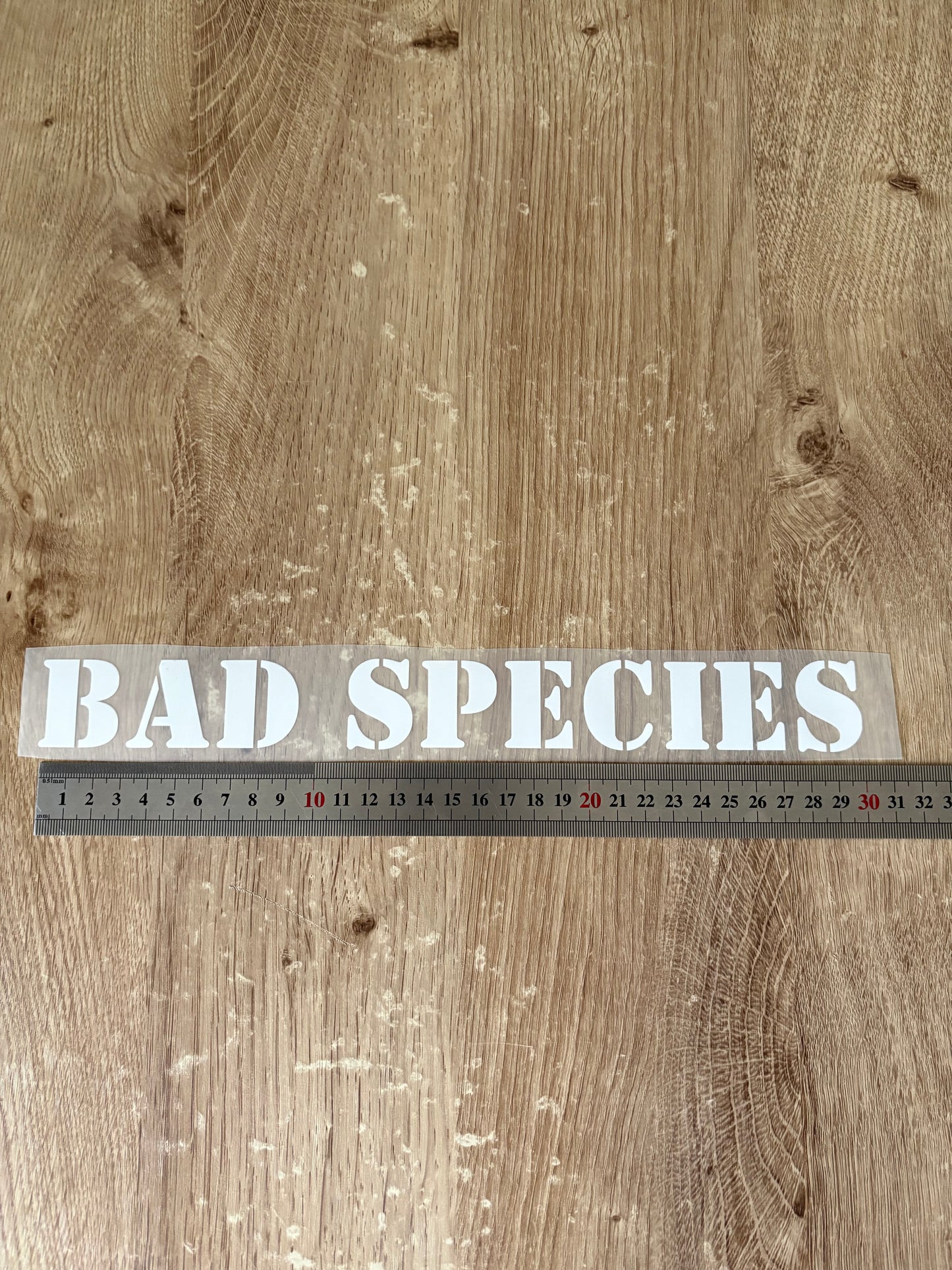 BAD Species blanc (30cm)
