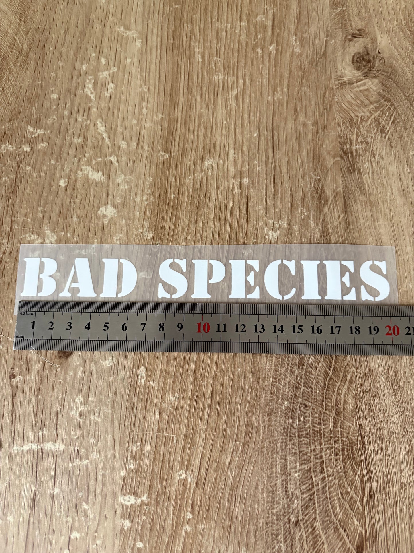 BAD Species blanc (20cm)
