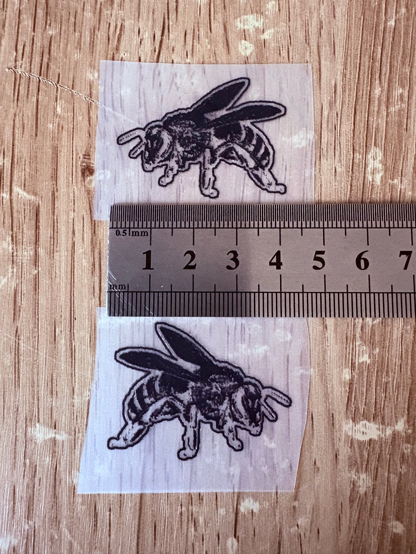Abeille noir (petite)
