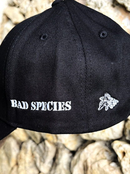 Casquette